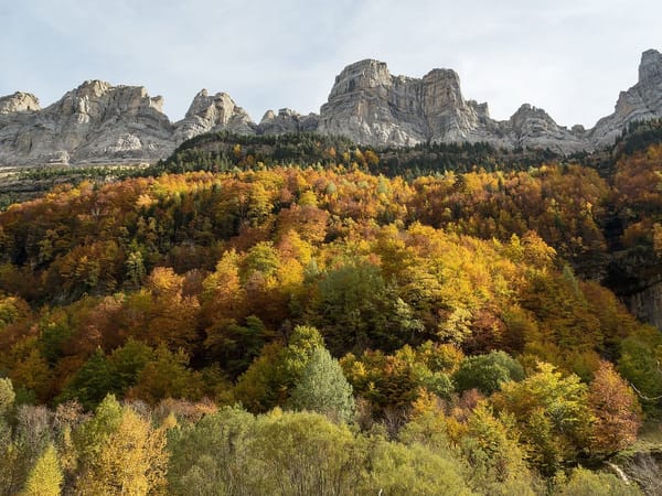 De la montaña a la costa: explorando experiencias de acampada en España