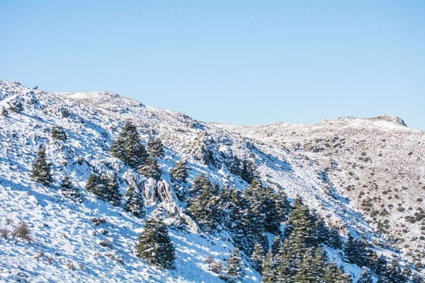 Sierra de las Nieves: el lado más salvaje y desconocido de Málaga