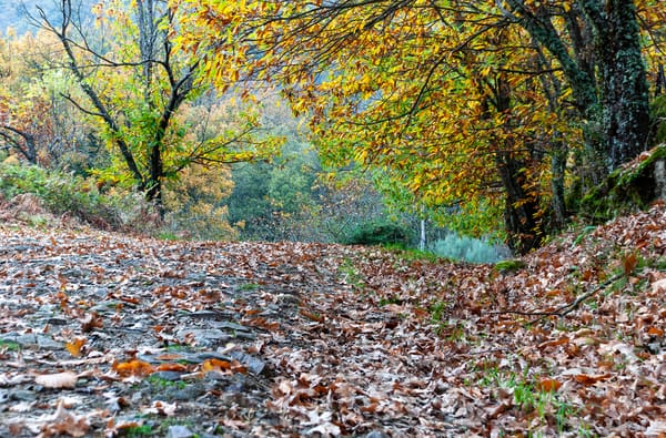 Extremadura presenta su oferta turística para este otoño