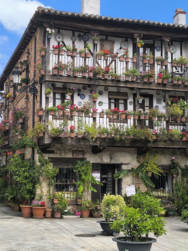Ruta de tapas por Gredos: sabores serranos que reconstruyen la esperanza