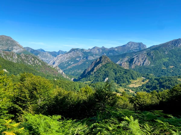 Cinco excusas para volver a León tras los incendios de este verano