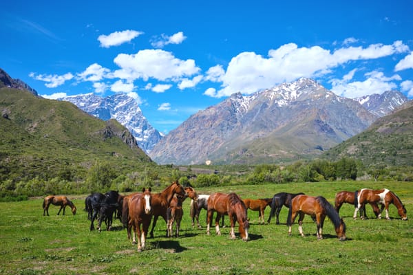 O'Higgins: viaje a la tierra de los huasos
