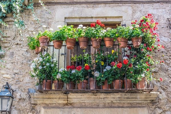 Pedraza, una escapada a este pueblo con encanto de Segovia