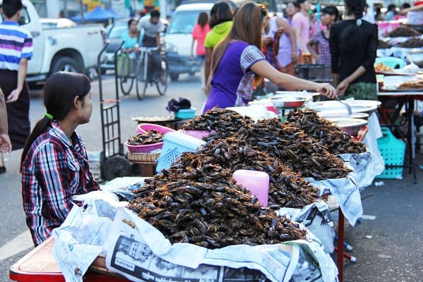 11 platos típicos con insectos alrededor del mundo