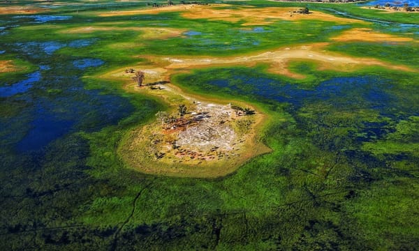 Delta del Okavango: cómo visitar el corazón de África