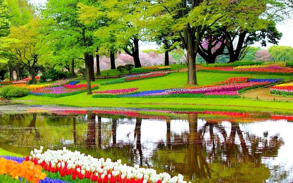 Los campos de flores más coloridos del mundo