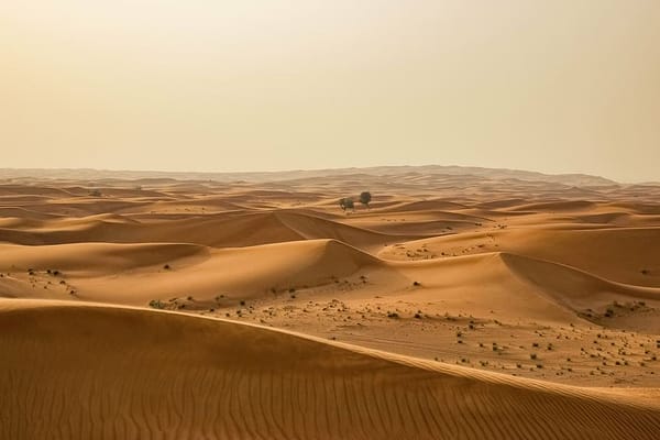 La ruta de Marruecos que te enamorará: Marrakech, Essaouira y el desierto