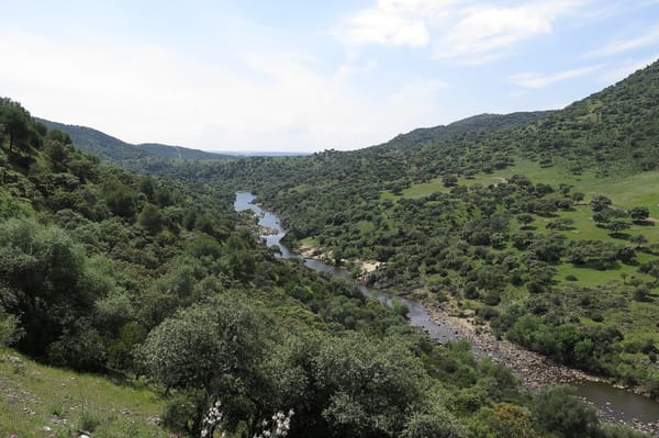 Una ruta por la Campiña Norte, el mejor secreto de Jaén