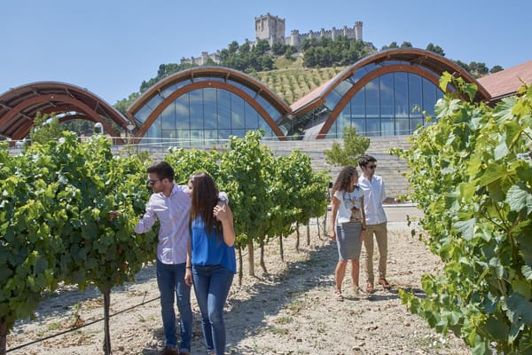 Descubre los vinos ecológicos