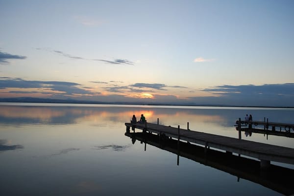 Paseos por la naturaleza cerca de Valencia