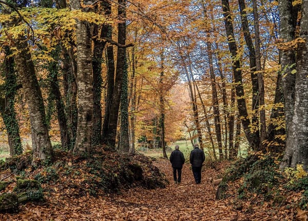 Descubrir Girona a través del turismo rural