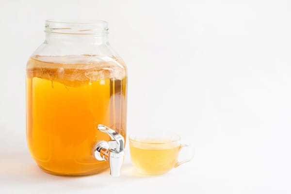 Kombucha, te descubrimos la historia de esta bebida milenaria