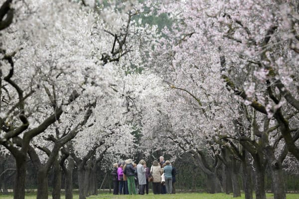 Ocho rincones de Madrid para visitar este fin de semana