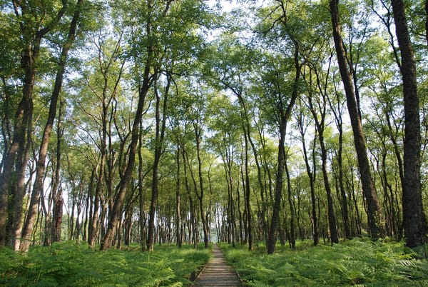 Descubriendo la Valonia más verde en cuatro rincones mágicos