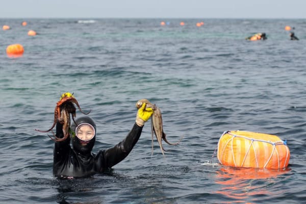 Descubriendo a las “haenyeo”, las buceadoras legendarias de Jeju