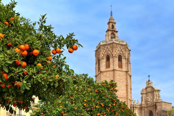 Aromas de España, ¿a qué huelen nuestras ciudades?