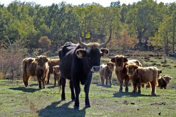 Descubriendo el ‘Parque Jurásico’ de Burgos