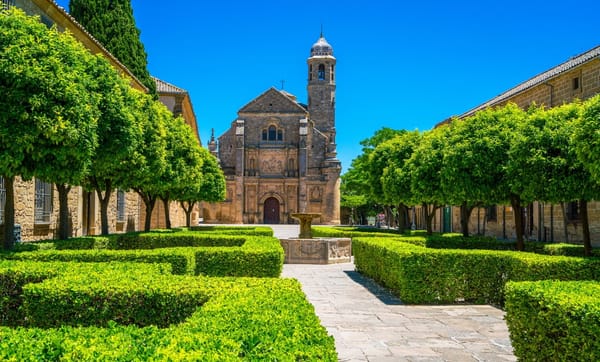 Un Día en Úbeda: entre olivos y mucha historia