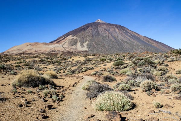 Naturaleza sin obstáculos: Diez destinos de ecoturismo en España que son accesibles